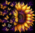 Butterfly Sunflower 6983
