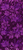 Dark Floral- Purple 0066