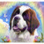 Rainbow Saint Bernard 20/30oz Wrap 6981