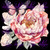 Floral Butterfly 4242