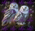 Snow Owls 9260