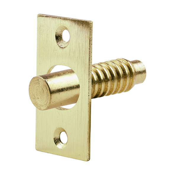 TIMCO Hinge Bolts - Electro Brass - 48mm - Pack of 2