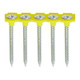 Collated Drywall Screws - PH - Bugle - Fine Thread - Zinc