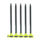 Collated Drywall Screws - PH - Bugle - Coarse Thread - Black