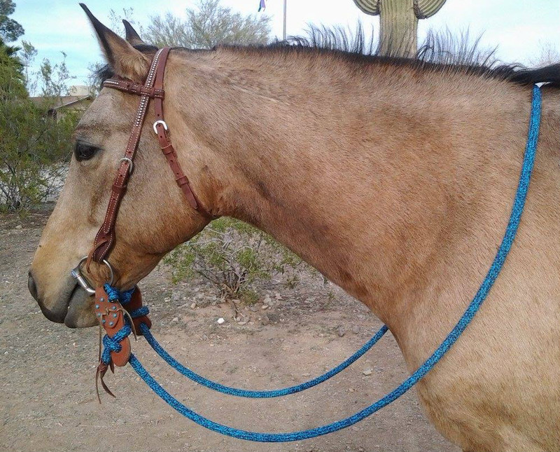 Loop Reins B H Rope Halters Loop Reins B H Rope Halters