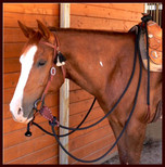 Mecate Reins with optional Slobber Straps.