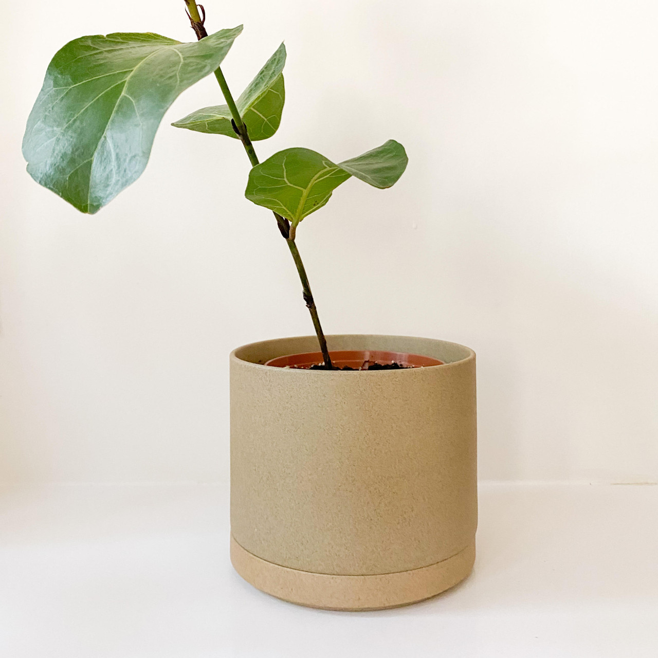 Hasami Porcelain Flower Pot - Hasami Porcelain Canada - Ava's