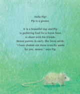 Pip the Gnome and the Forest Feast - Boardbook 