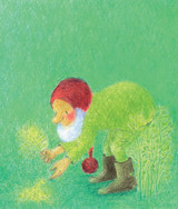 Pip the Gnome and the Forest Feast - Boardbook 