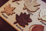 Leaf Puzzle Including Fall Colours 