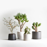 KINTO Plant Pot 191 Dark Grey - 105 mm