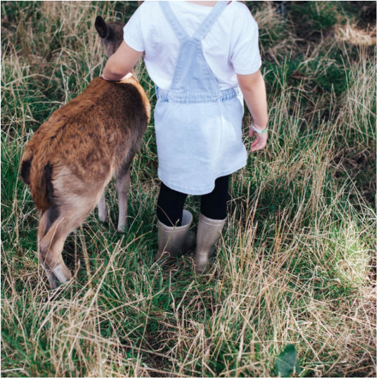 Merino Wool Tights For Babies and Kids 