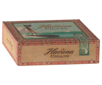 Maileg Mum and Dad Mice in Cigar Box Flower Maileg Mum and Dad Mice in Cigar Box Flower