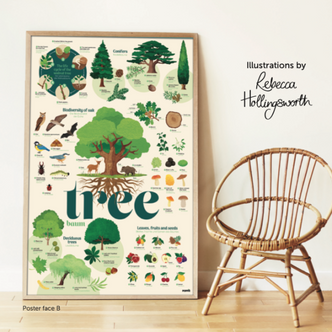 Poppik Discovery Poster Trees - English and French