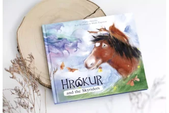 Hrokur and the Skyriders by Drescher, Wendland, Engstrom