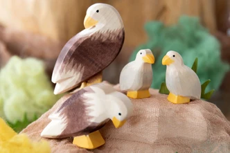 Ostheimer Bald Eagle Small Bird