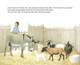 Mary's Little Donkey