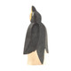 Ostheimer Wooden Penguin from the Front