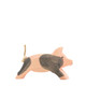 Ostheimer Spotted Piglet Running (10954)