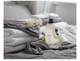 The Unscented Company Laundry Detergent