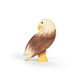 Ostheimer Bald Eagle Standing Bird