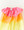 Sarah's Silks Rainbow Cape