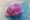 Sarah's Silks Mini Playsilk - Blossom