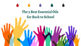 The 5 Best Essential Oils for Back to School!