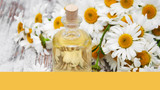 Chamomile - A Different Way To Think About Wellness
