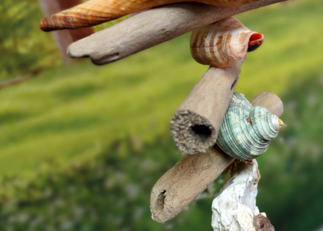 Hanging Nautical Garland Mermaid Beach Seashells (1 Garland approx. 23 ...