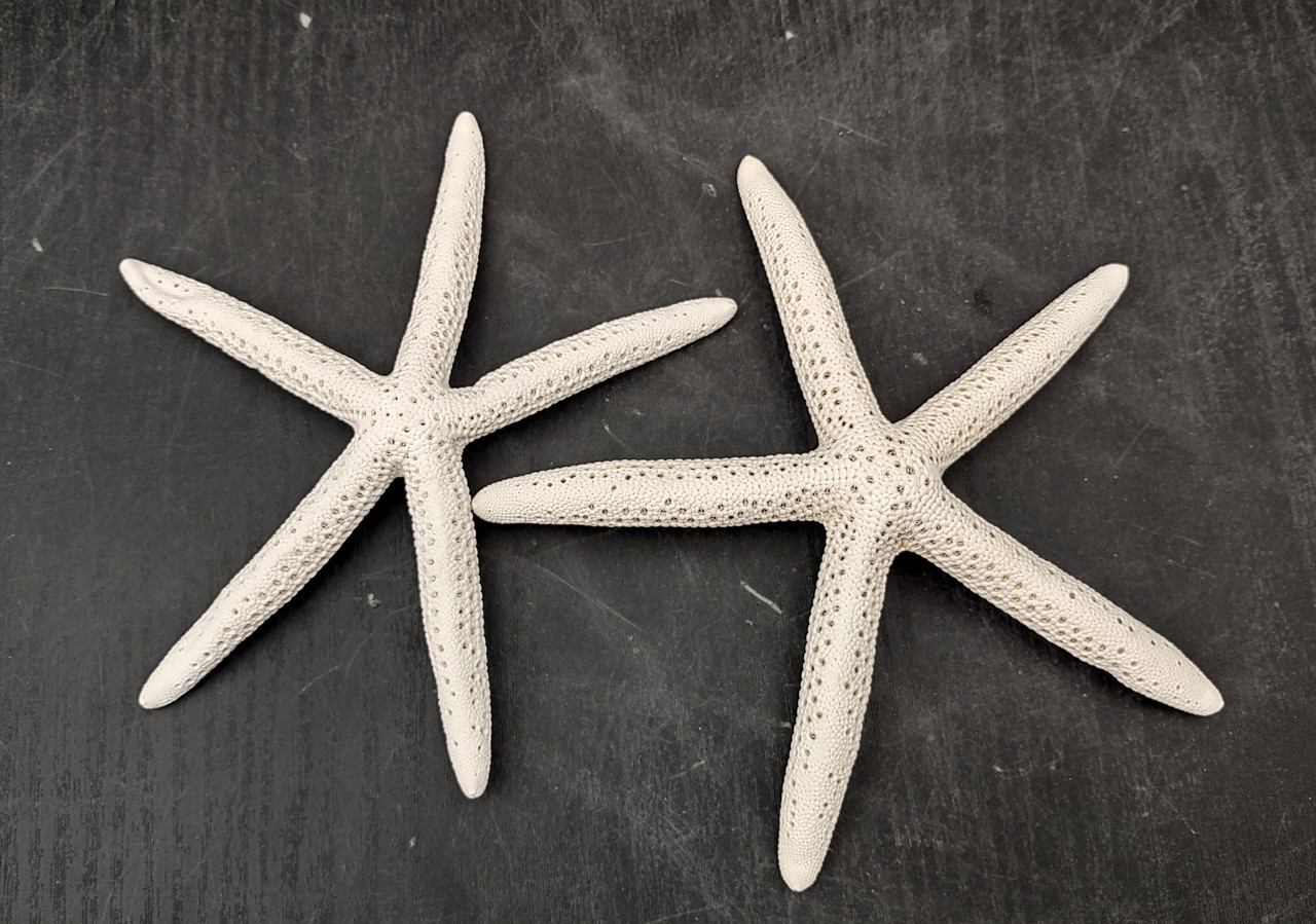 6ce05872-2254-4bc0-94f2-