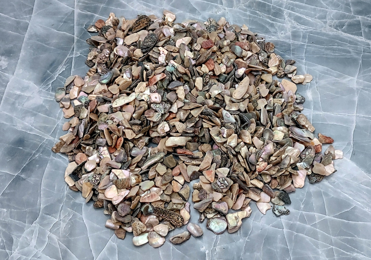 Abalone Chips (1 pound, approx. 8001,000 chips .25 .5 inches)
