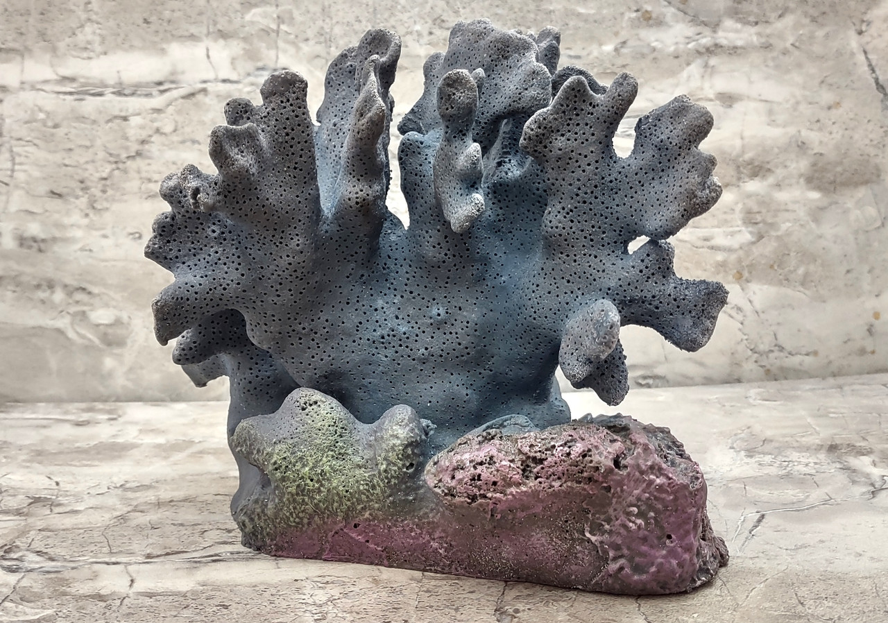 Large Blue Nautical Natural Coastal Ocean Coral Specimen