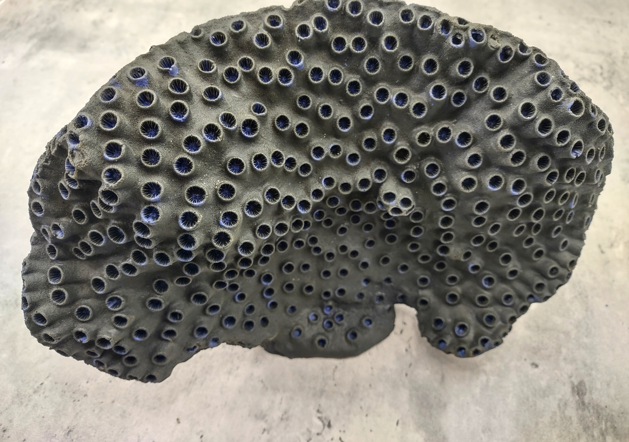 7b176d5c-e1e1-44e8-b552-