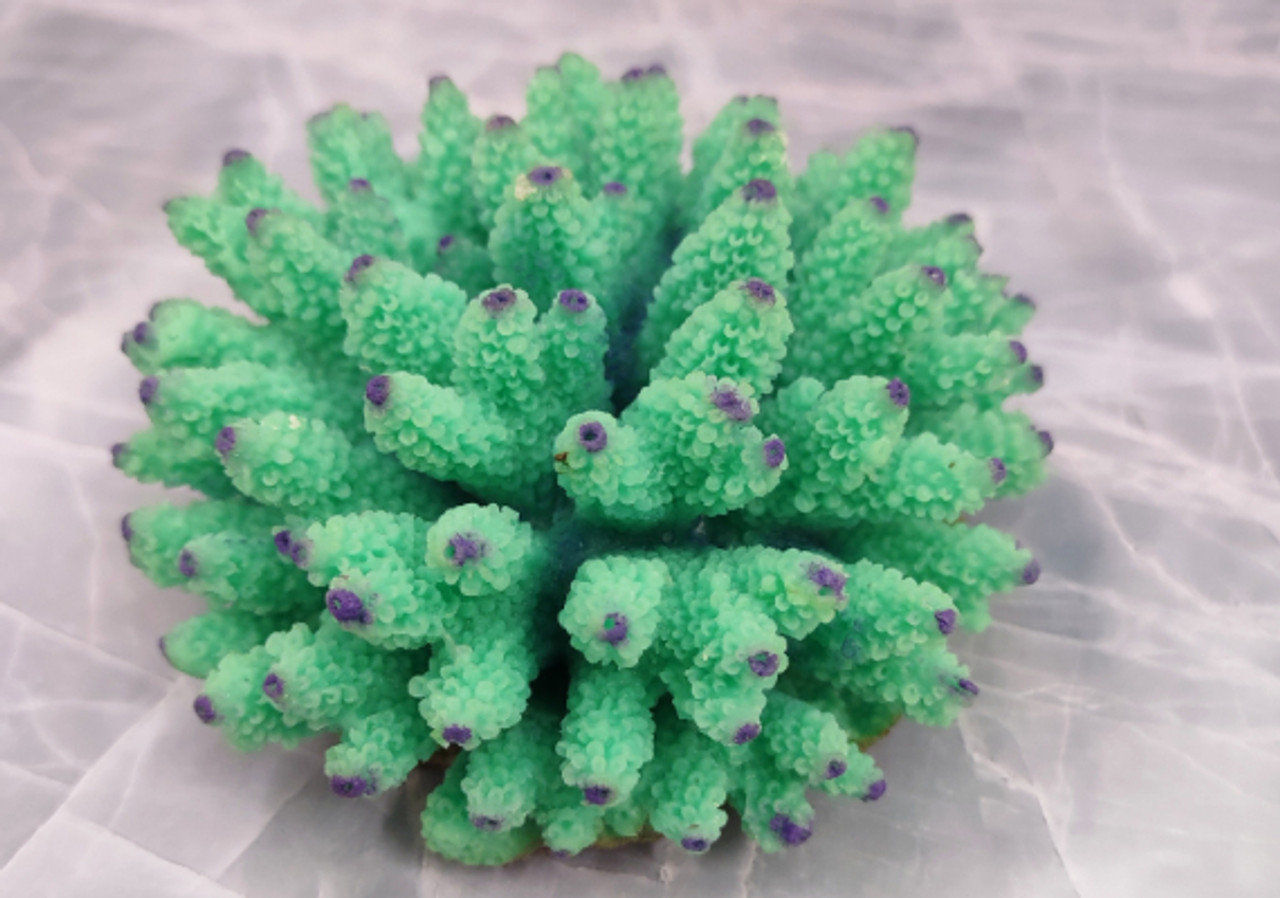 Artificial Coral Acropora Blue Purple, Artificial Corals