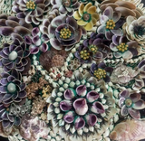 Some of Our Favorite Coastal Art from The Past Month