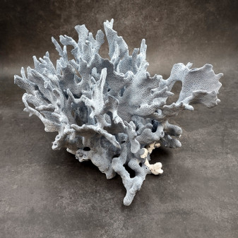 Blue Ridge Coral Cluster Heliopora coerulea (1 coral approx. 7H x 8D x 10L inches) Blue Coral Cluster for coastal home decor & display! Copyright 2026 SeaShellSupply.com.