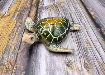 Green Sea Turtle Figurine Painted Resin (1 turtle approx. 5+ inches long) Green Painted Resin Sea Turtle Figure for coastal home decor! Copyright 2025 SeaShellSupply.com.