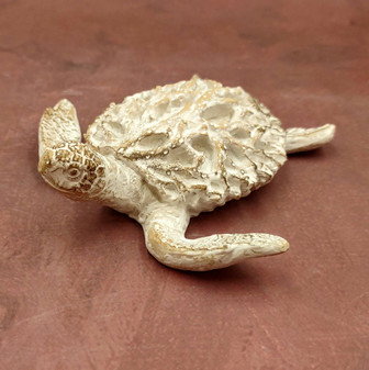 White Sea Turtle Tan Coral Shell Figurine (1 figure approx. 4+ inches) Rough White Tan Sea Turtle Statuette for decor gifts & collecting! Copyright 2025 SeaShellSupply.com.\n