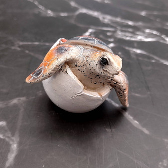 Sea Turtle Egg Hatchling Red Shell (1 sea turtle approx. 2+ inches) Red Painted Resin Baby Sea Turtle Egg Figure for coastal home décor! Copyright 2025 SeaShellSupply.com.