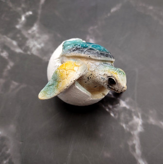 Sea Turtle Egg Hatchling Aqua Blue Shell (1 sea turtle approx. 2+ inches) Blue Painted Resin Baby Sea Turtle Egg for coastal home décor! Copyright 2025 SeaShellSupply.com.