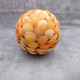 Orange Pecten Seashell Ball Round Sphere (approx. 8+ inches diameter) Orange Pecten Scallop Shell Ball for coastal home accent & display! Copyright 2026 SeaShellSupply.com.
