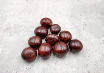 Brown Hamburger (True) Sea Beans - Mucuna Sloanei - (10 shells approx. 1 inch). Multiple red and black shaded bright shells. Copyright 2024 SeaShellSupply.com.