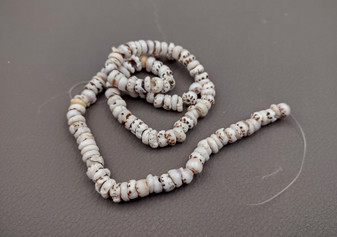Tiger Puka Shell Strand (16 inches x 4-6mm). Multiple strands of white beaded strings. Copyright 2024 SeaShellSupply.com.