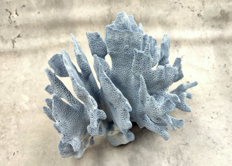 Blue Coral Cluster - Heliopora Coerula - (1 coral cluster 5-7 inches). Blue and white coral set with multiple tiny holes. Copyright 2025 SeaShellSupply.com.
