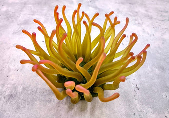  Aqua FAUX Anemone - Condylactis Gigantea - (1 FAUX Anemone approx. 5Wx4Dx5T inches). green ombre fake anemone with pink tipped tentacles. Copyright 2024 SeaShellSupply.com.