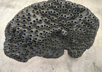 Black Cup FAUX Sun Coral - Tubastrea Peltata - (1 Coral Approx. 10Wx7Dx4T inches). A wide solid black sea fan with several holes and imprints, and a strong round like shaped base. Copyright 2022 SeaShellSupply.com.