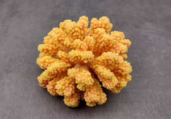 Yellow Faux Coral Cluster - Pocillopora Elegans - (1 FAUX Coral approx. 5Wx3Dx4T). Orange and pink tinted fluffy heavily textured coral cluster with many arms. Copyright 2024 SeaShellSupply.com.