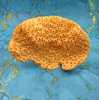 Orange FAUX Cup Sun Coral Tubastrea Peltata (1 FAKE Coral approx 10Wx7Tx4D inches) Orange Cup Coral Replica for fish aquariums & tanks! 