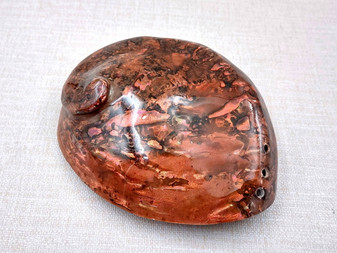 Polished Copper Midas Abalone Midae Abalone (1 shell approx. 5+ inches) Polished fun copper shells great for crafting! Brown striped glazed wide spiral shell. Copyright 2024 SeaShellSupply.com